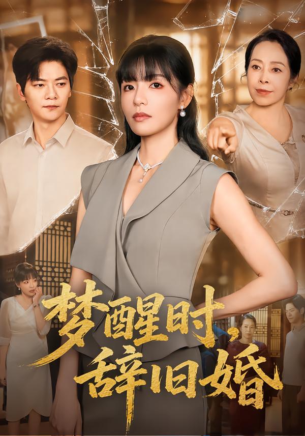 梦醒时,辞旧婚封面图