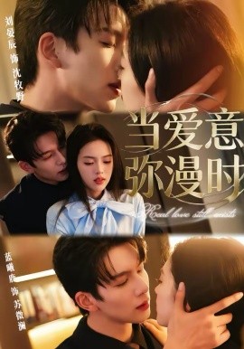 当爱意弥漫时封面图